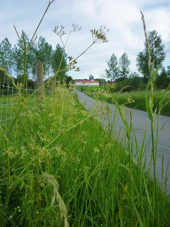 Het Verblijf Sint-Martens-Lennik Esterno foto